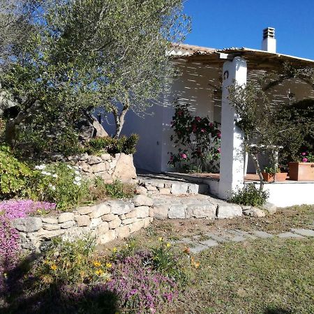 Agriturismo La Valletta 호텔 산타테레사의갈루라 외부 사진