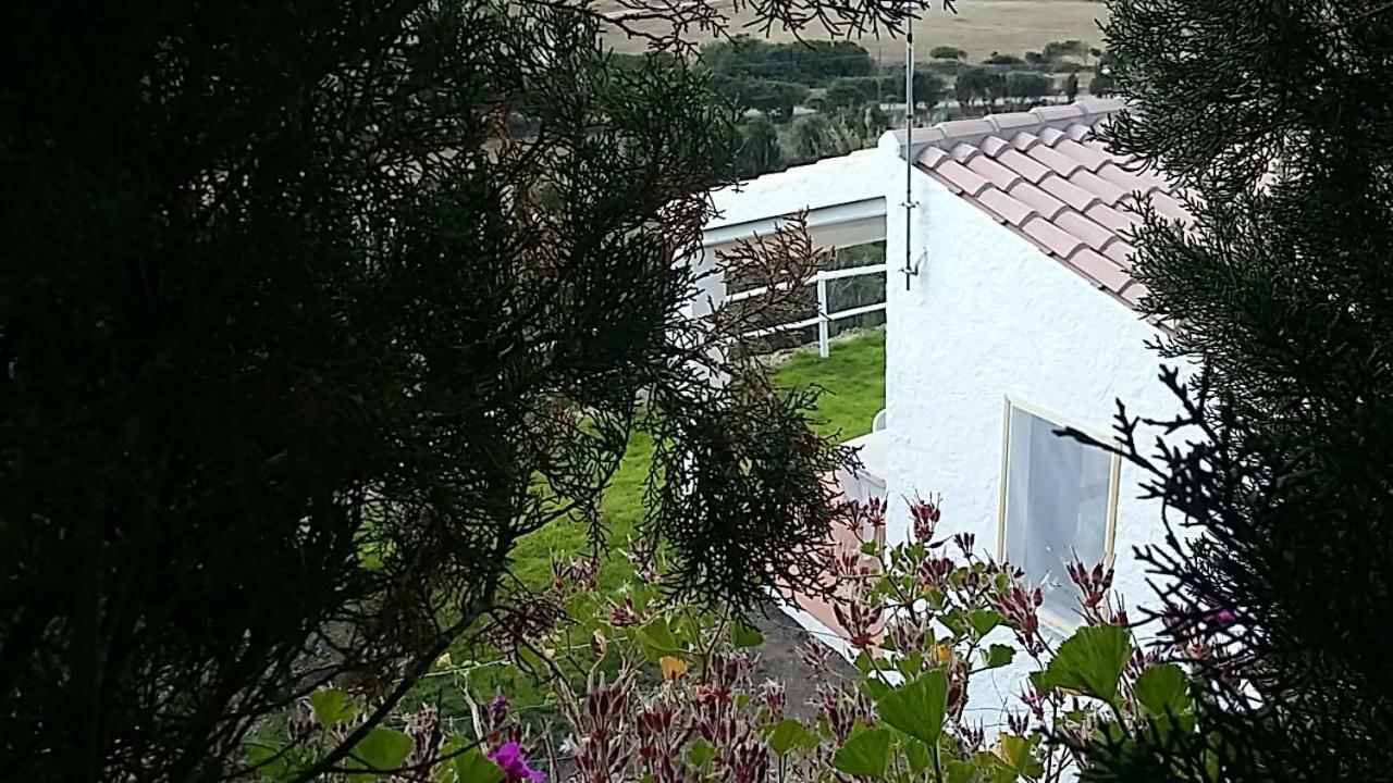 Agriturismo La Valletta 호텔 산타테레사의갈루라 외부 사진
