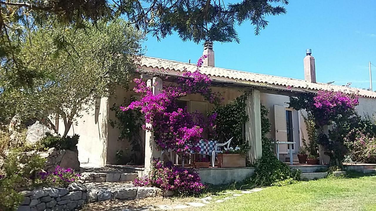 Agriturismo La Valletta 호텔 산타테레사의갈루라 외부 사진