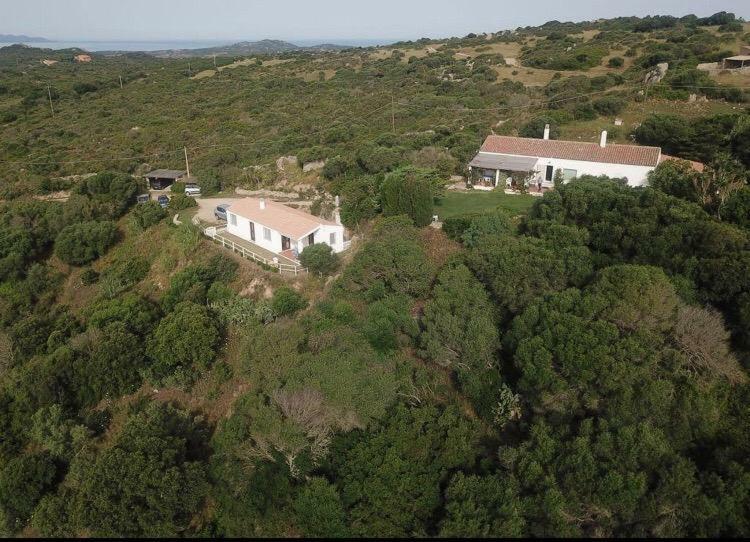 Agriturismo La Valletta 호텔 산타테레사의갈루라 외부 사진