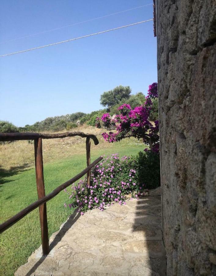 Agriturismo La Valletta 호텔 산타테레사의갈루라 외부 사진