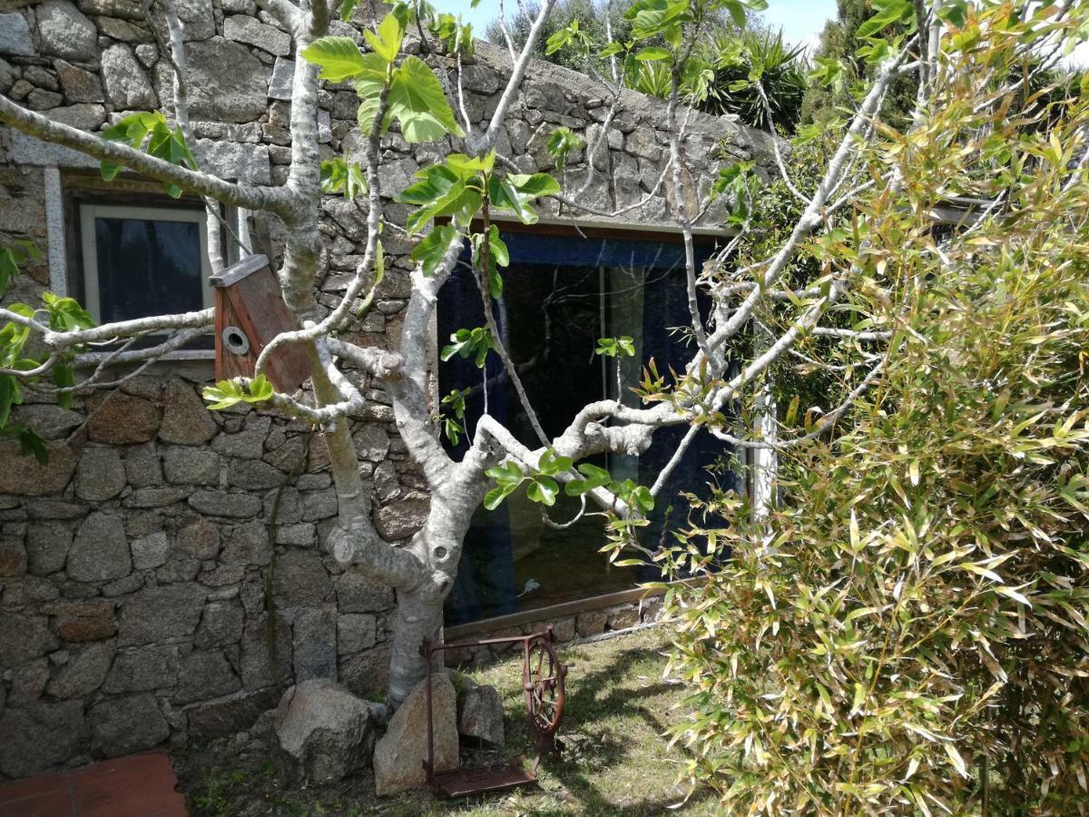 Agriturismo La Valletta 호텔 산타테레사의갈루라 외부 사진
